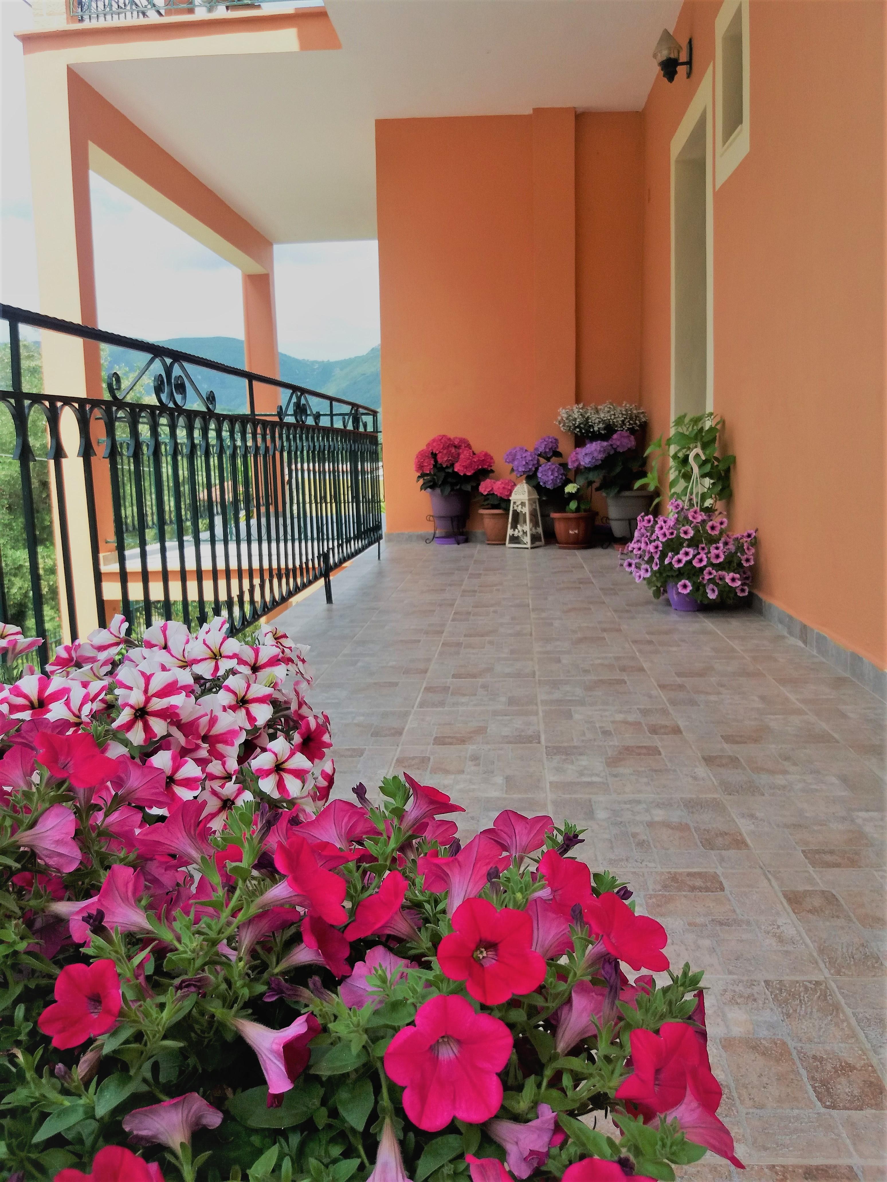 Ziogas Luxury Apartments Dassia  Exterior photo
